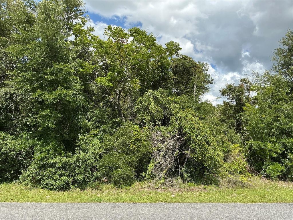 MARION OAKS DRIVE, Ocala, FL 34473
