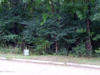 Woodbridge Drive, Madison, MS 39110