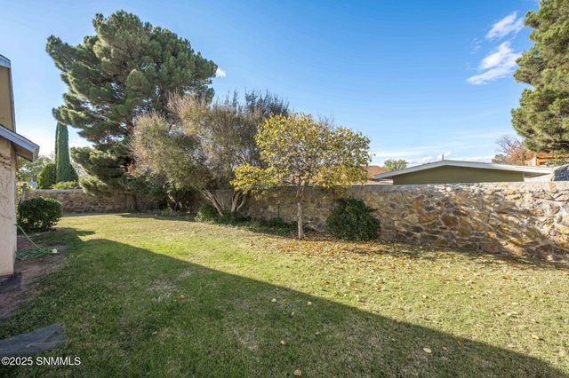 969 Ivydale Drive, Las Cruces, NM 88005