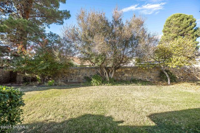 969 Ivydale Drive, Las Cruces, NM 88005