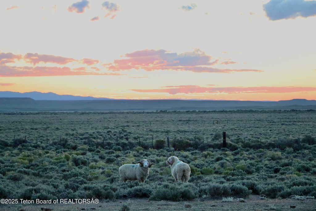 0 BLM RD 4103, Boulder, WY 82923 photo 27