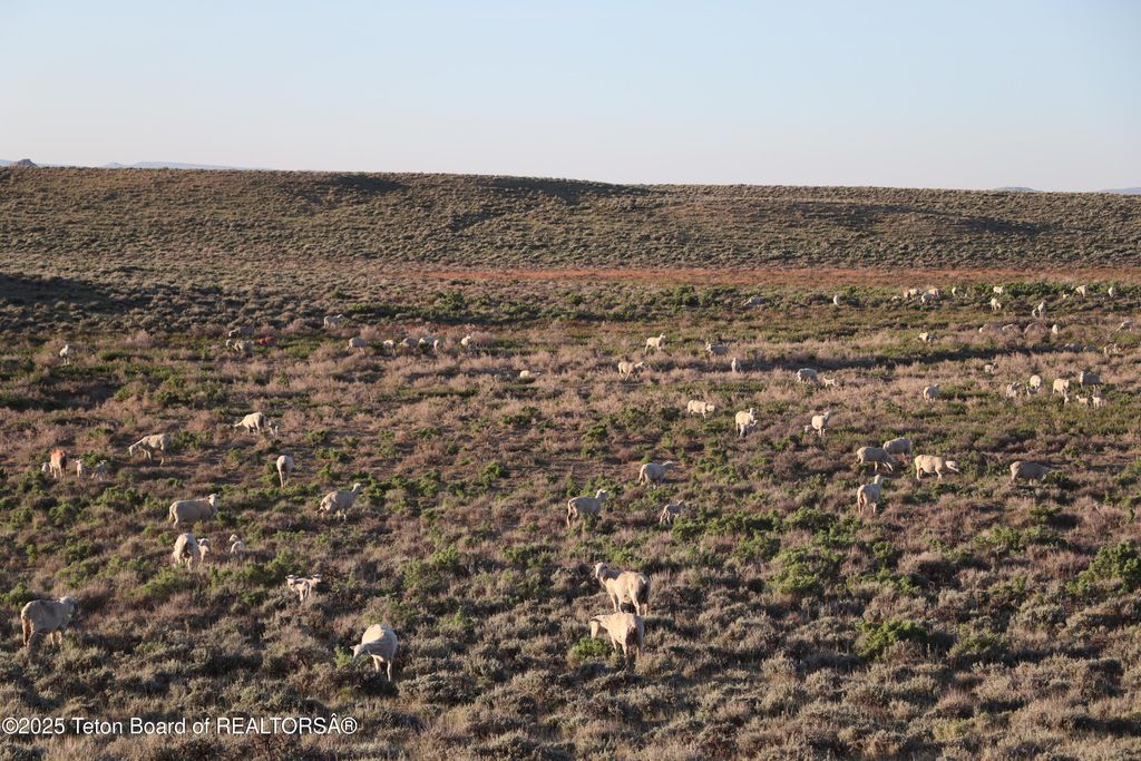 0 BLM RD 4103, Boulder, WY 82923 photo 35