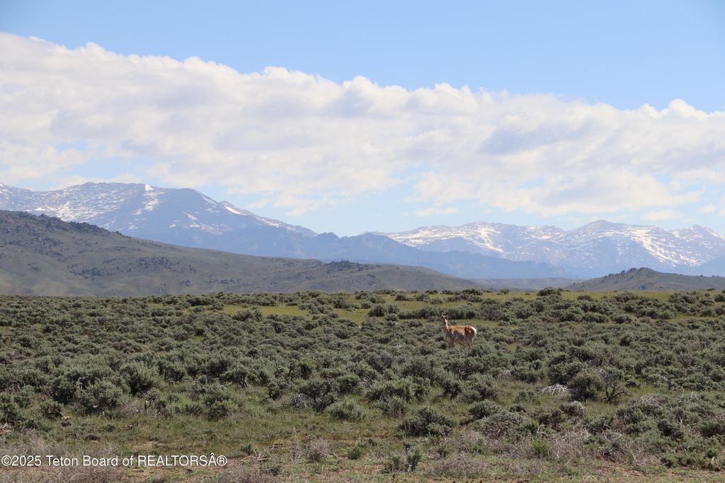 0 BLM RD 4103, Boulder, WY 82923 photo 39