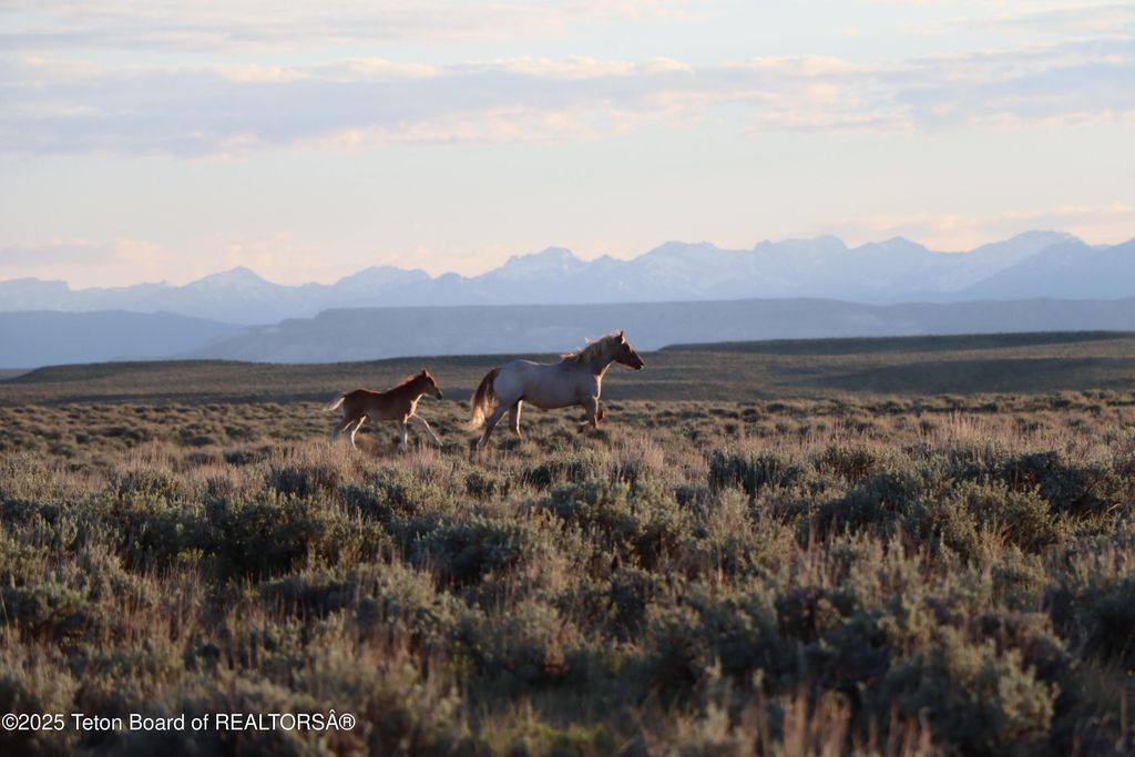 0 BLM RD 4103, Boulder, WY 82923 photo 5