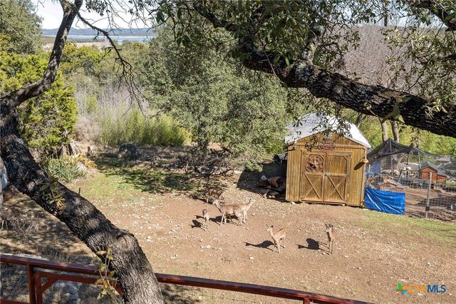 175 Lorne Road, Canyon Lake, TX 78133