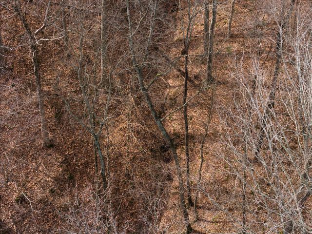 3039 Meadow Ct, Springfield, TN 37172