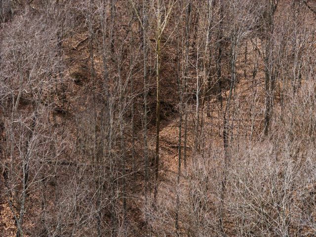 3039 Meadow Ct, Springfield, TN 37172