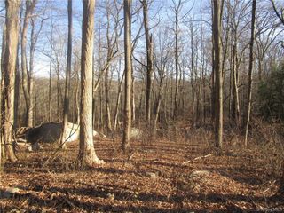 Brookside/Bear Mtn Parkway Avenue, Cortlandt Manor, NY 10567