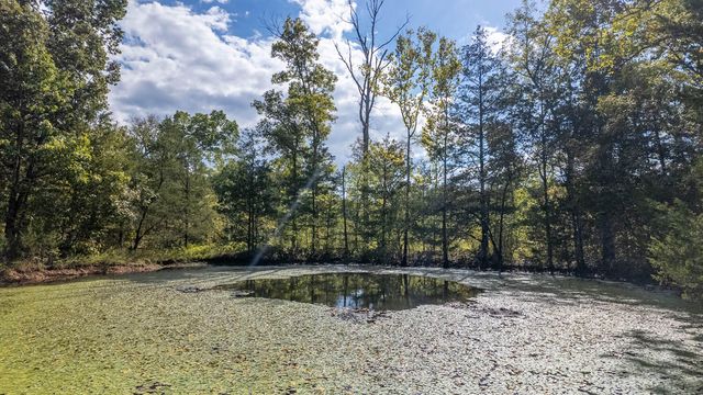 300 Starfall Drive, Cedarcreek, MO 65627