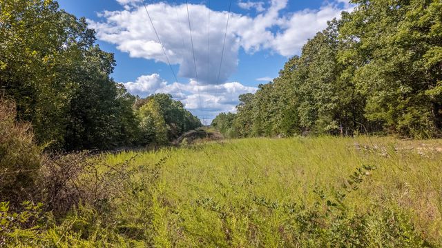 300 Starfall Drive, Cedarcreek, MO 65627