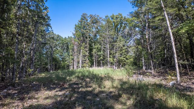 300 Starfall Drive, Cedarcreek, MO 65627