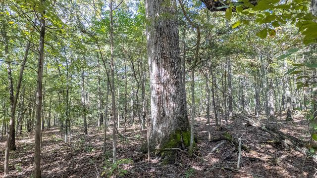 300 Starfall Drive, Cedarcreek, MO 65627