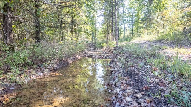 300 Starfall Drive, Cedarcreek, MO 65627