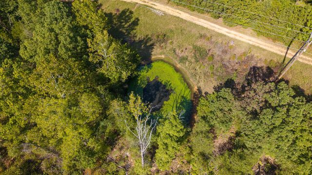 300 Starfall Drive, Cedarcreek, MO 65627