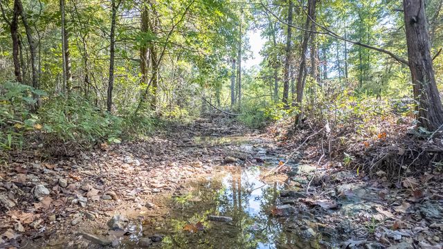 300 Starfall Drive, Cedarcreek, MO 65627