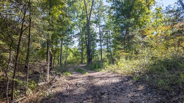 300 Starfall Drive, Cedarcreek, MO 65627