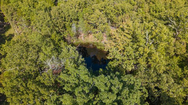 300 Starfall Drive, Cedarcreek, MO 65627