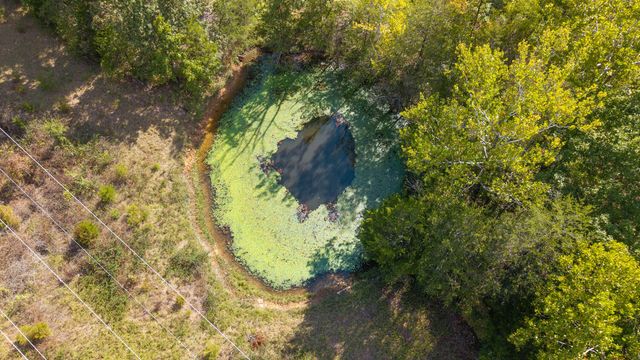 300 Starfall Drive, Cedarcreek, MO 65627