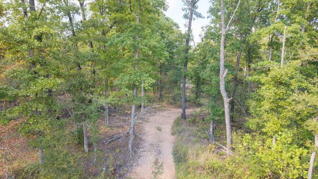 300 Starfall Drive, Cedarcreek, MO 65627