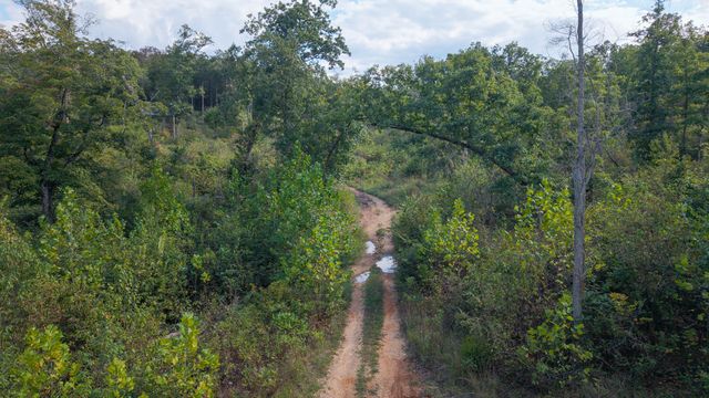 300 Starfall Drive, Cedarcreek, MO 65627