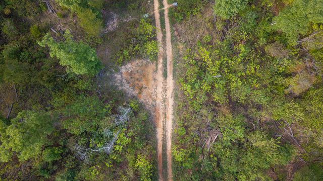 300 Starfall Drive, Cedarcreek, MO 65627