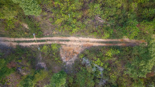 300 Starfall Drive, Cedarcreek, MO 65627