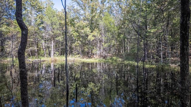 300 Starfall Drive, Cedarcreek, MO 65627