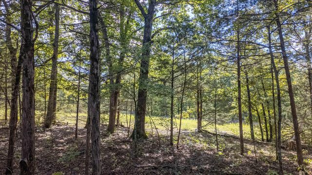 300 Starfall Drive, Cedarcreek, MO 65627