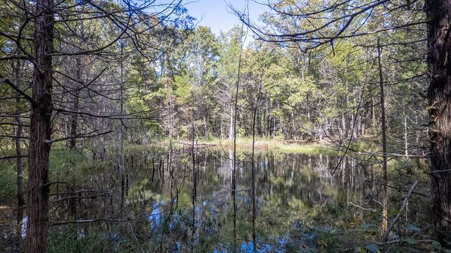 300 Starfall Drive, Cedarcreek, MO 65627