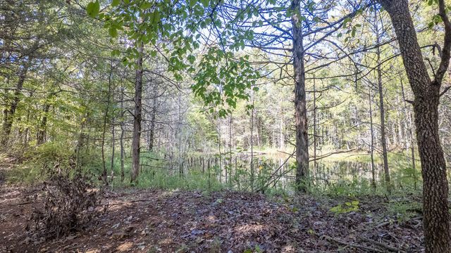 300 Starfall Drive, Cedarcreek, MO 65627