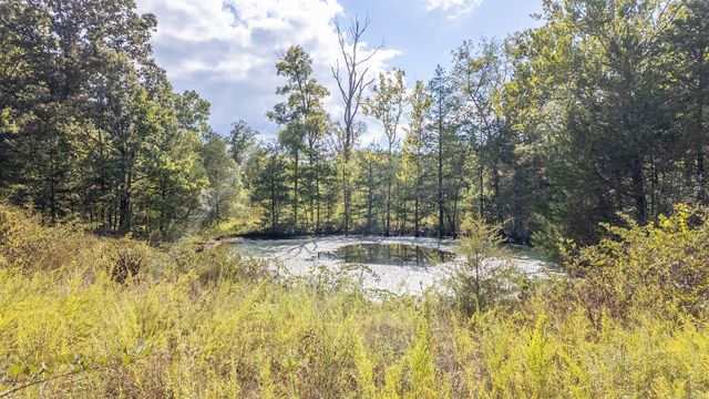 300 Starfall Drive, Cedarcreek, MO 65627