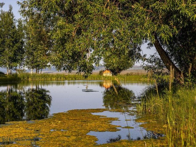 91 Porcupine Road, Wilsall, MT 59086