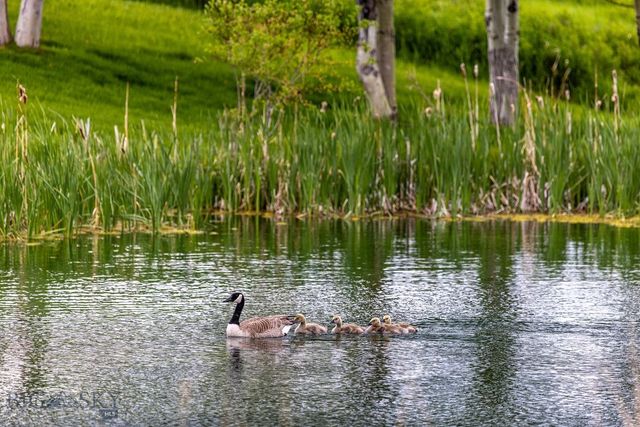 91 Porcupine Road, Wilsall, MT 59086