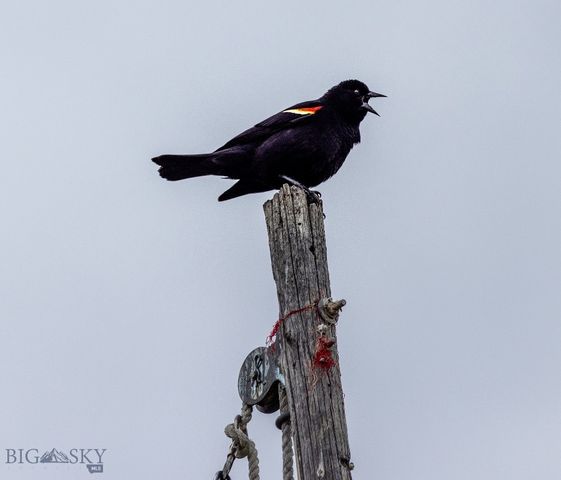 91 Porcupine Road, Wilsall, MT 59086