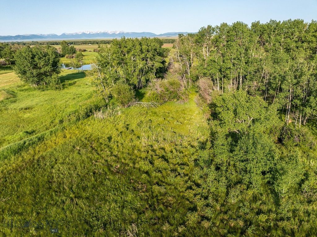 91 Porcupine Road, Wilsall, MT 59086 photo 7