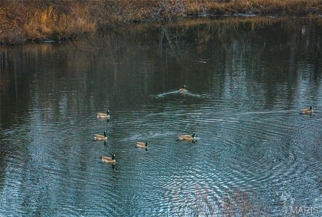 5258 Highway 68, Salem, MO 65560