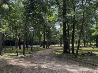 15728 Golden Rain Lane, Plantersville, TX 77363