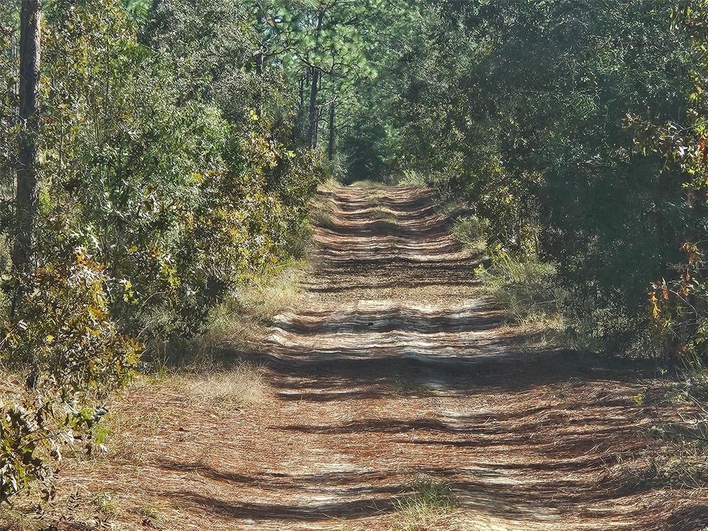 XXXX SW 92ND PLACE SW, Dunnellon, FL 34432