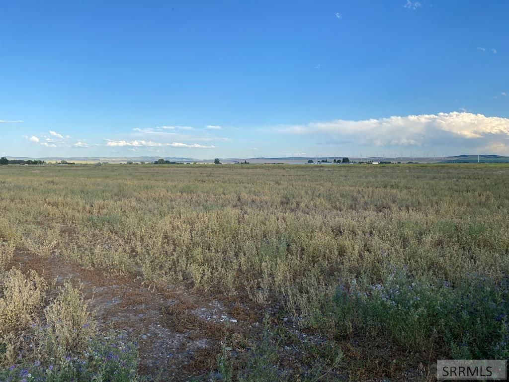 TBD E 100 N, Rigby, ID 83442