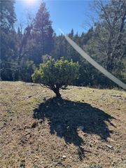 29373 Pine, Cedar Glen, CA 92321