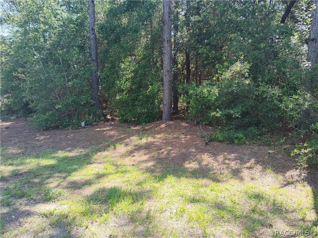 8646 N Buscetta Loop, Crystal River, FL 34428
