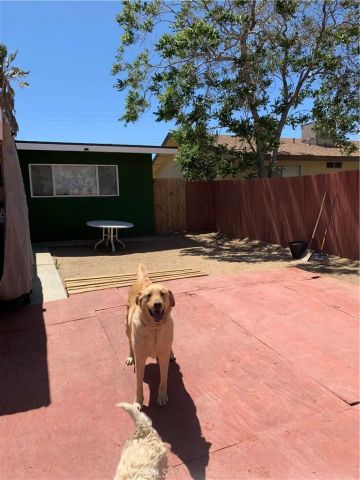 57054 Antelope Trail, Yucca Valley, CA 92284