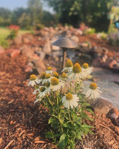 875 161st Street, Hammond, WI 54015