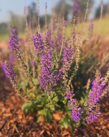 875 161st Street, Hammond, WI 54015