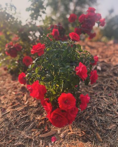 875 161st Street, Hammond, WI 54015