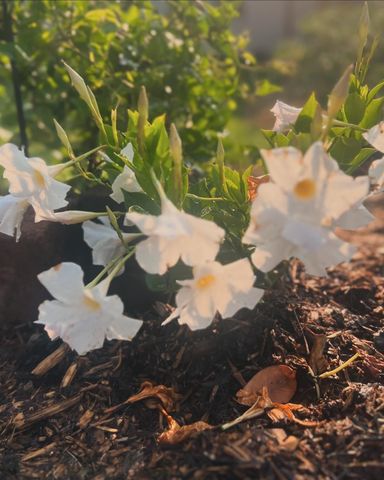 875 161st Street, Hammond, WI 54015