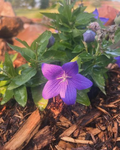 875 161st Street, Hammond, WI 54015