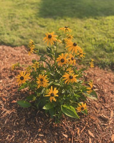 875 161st Street, Hammond, WI 54015