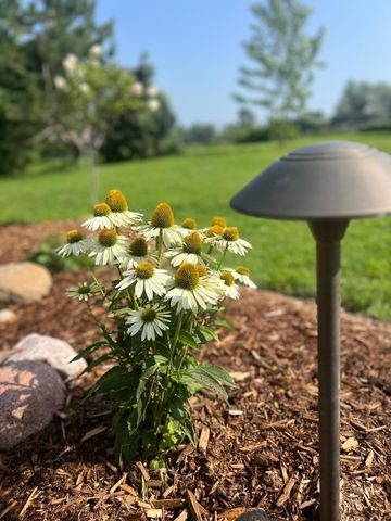 875 161st Street, Hammond, WI 54015