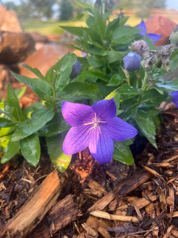 875 161st Street, Hammond, WI 54015